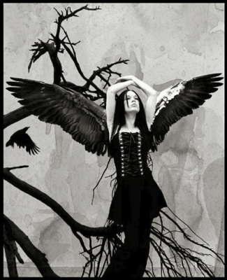 Gif animé gothique ange noire